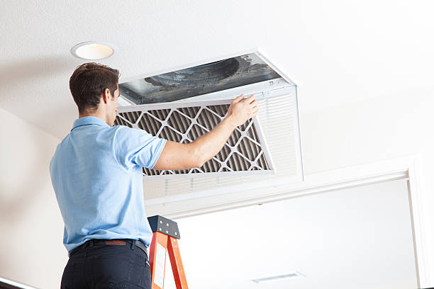 Best Solar-powered HVAC Systems in Beacon Hill, WA